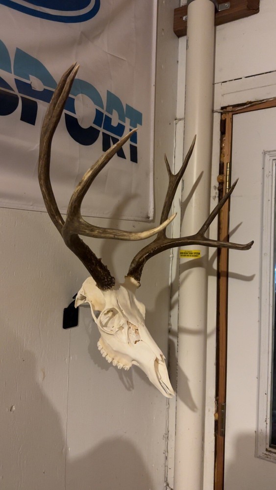 European Mount Hanger