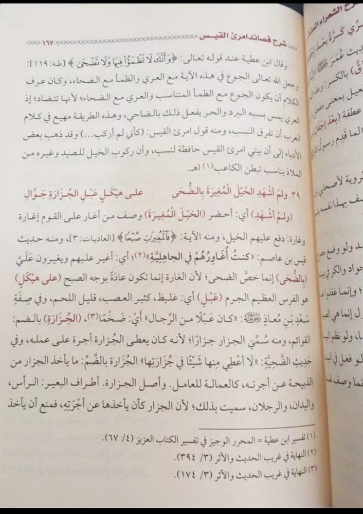 Arabic Bookشرح الشعراء الستة للأعلم الشنتمري و شرح باقي المعلقات وقصيدة أبي طالب