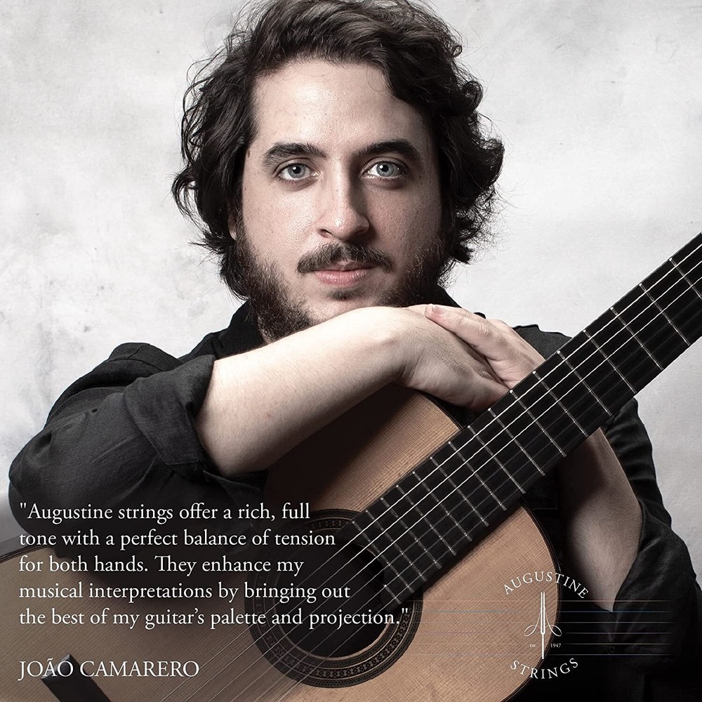 AA Augustine Medium Tension Classical Guitar Strings (3-Pack) Gold