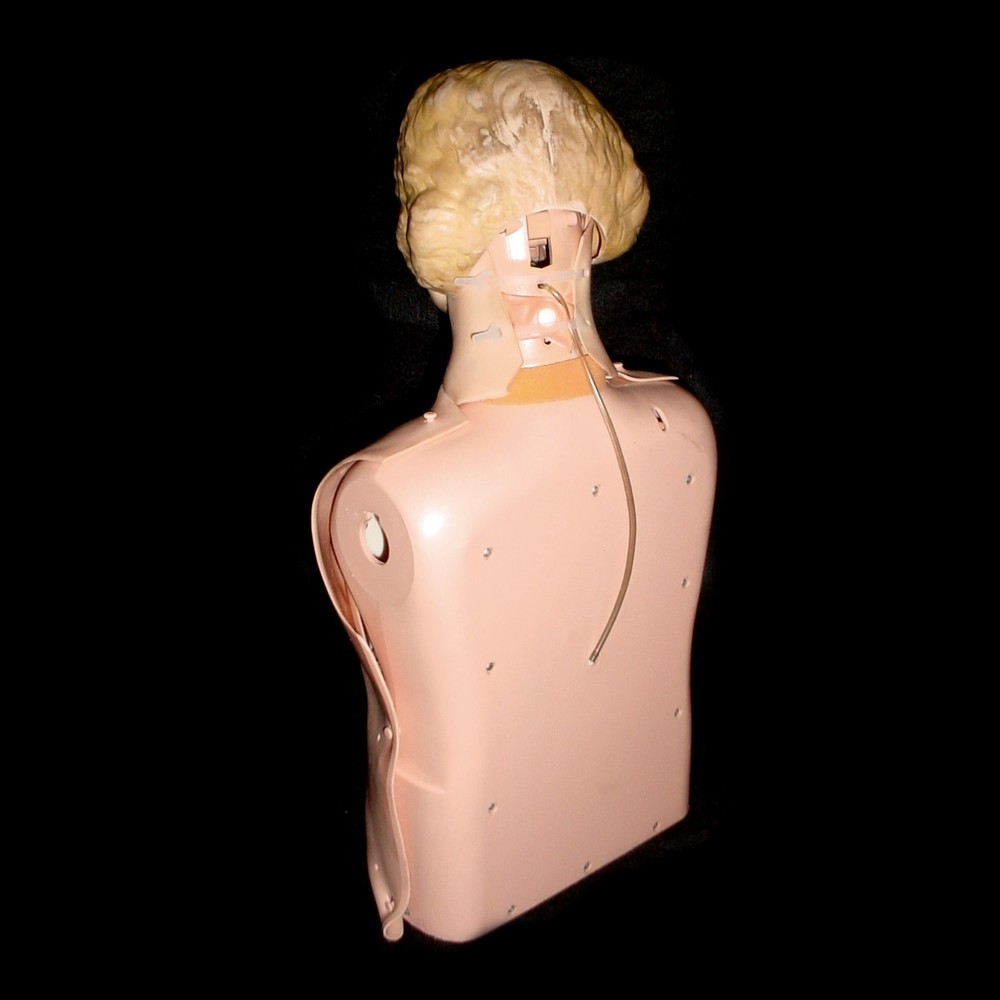 Laerdal Resucci Anne Torso CPR Training Manikin with Hard Shell Storage Case