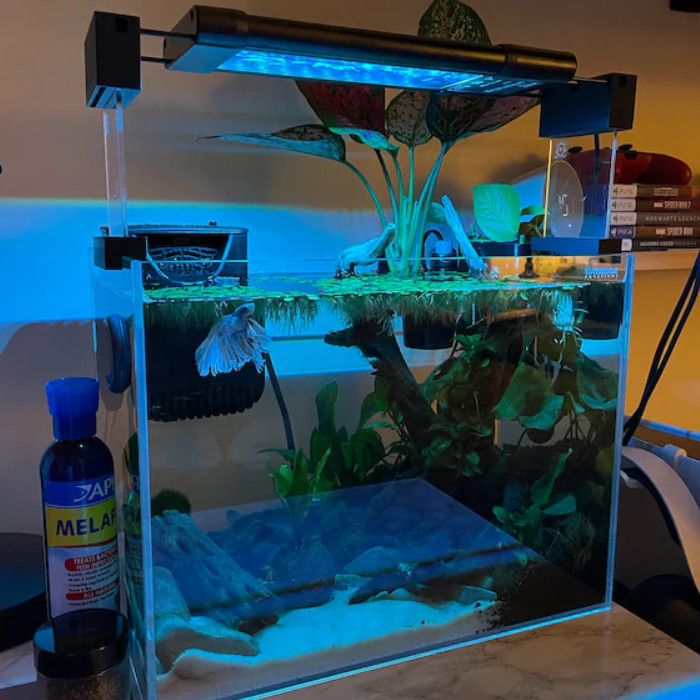 LED Light Riser Stand – Stable Elevated Mount for Better Lighting