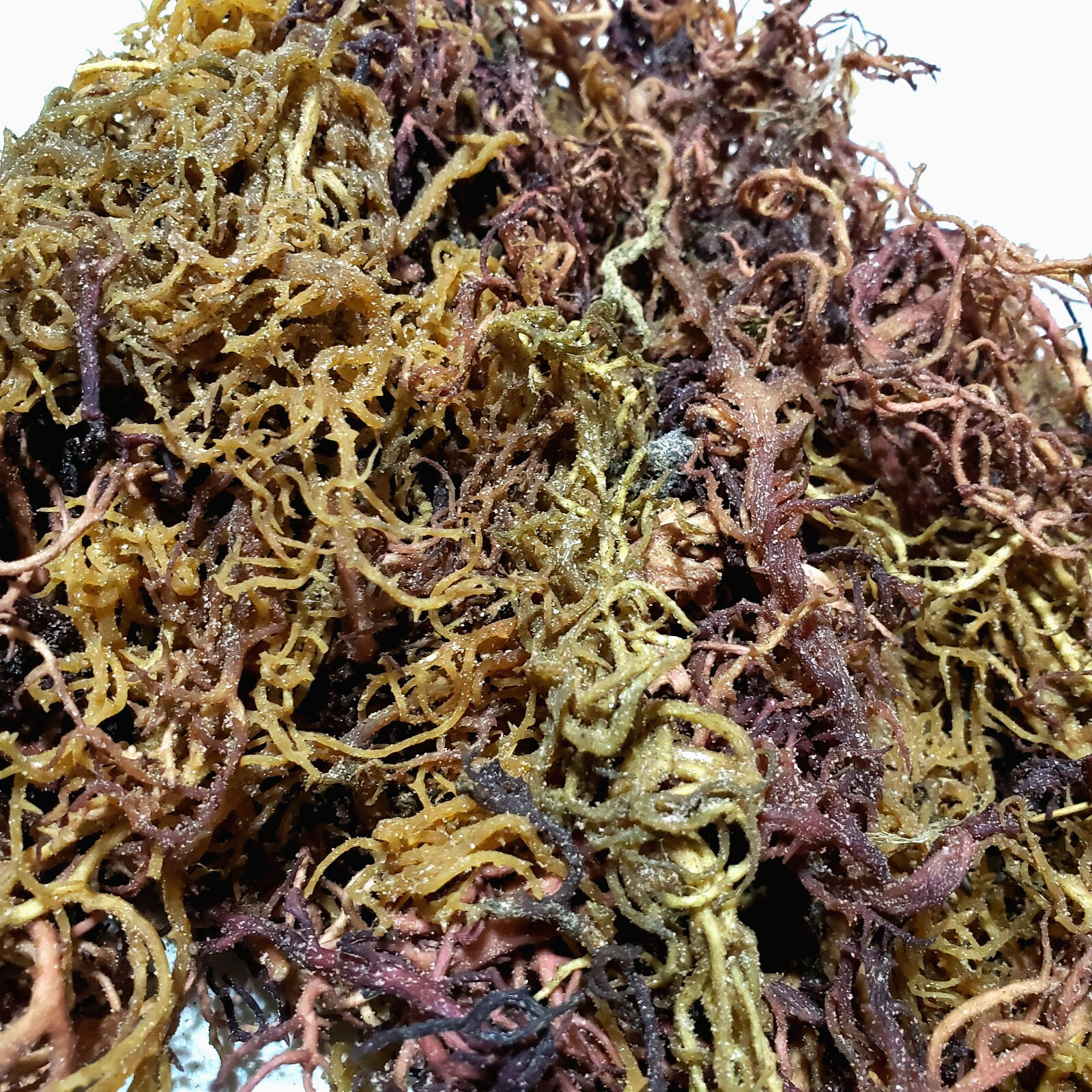 Wildcrafted Tanzanian Sea Moss | Sun-Dried Seamoss | Superfood 92 Minerals 16oz