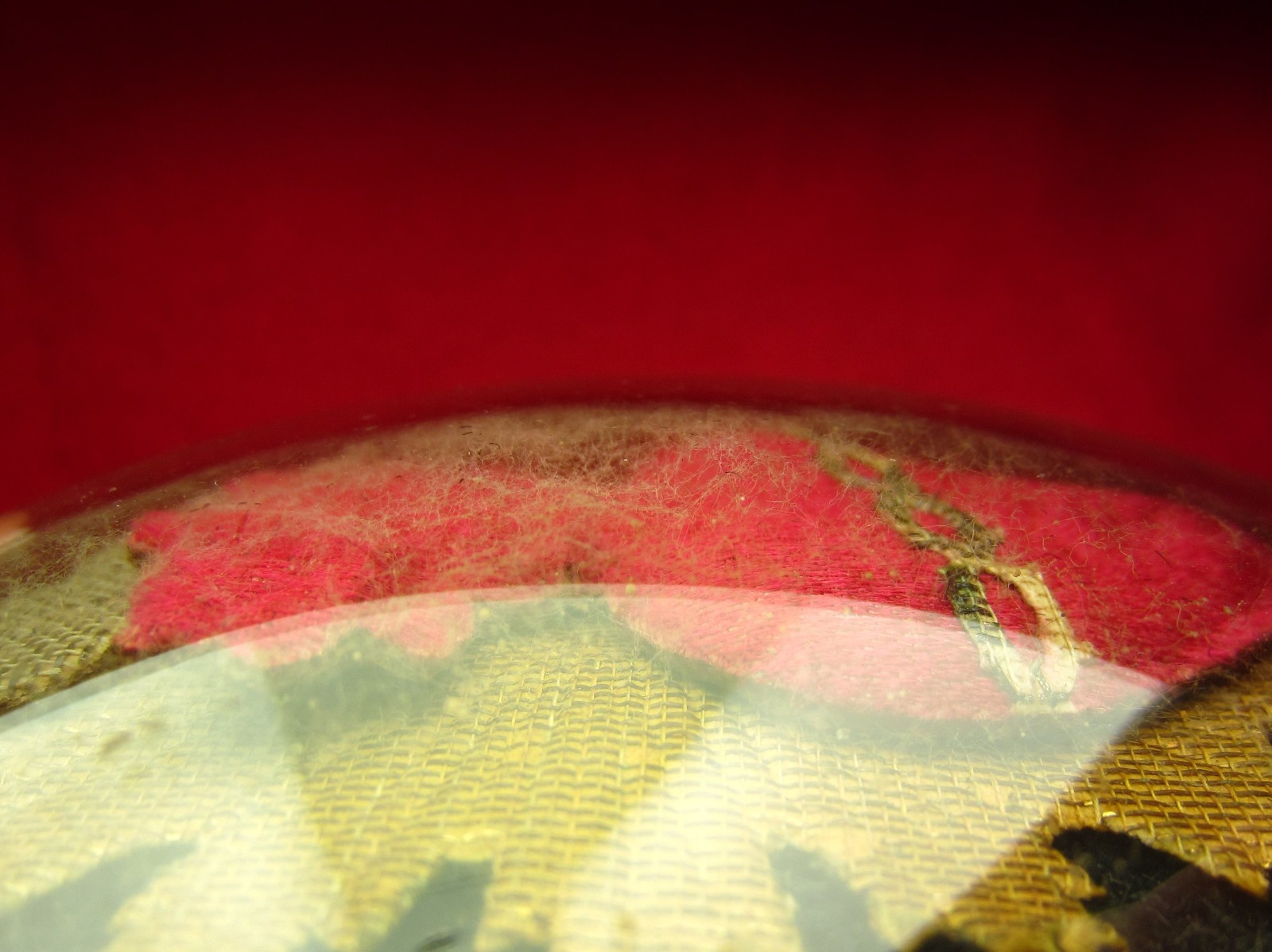 Antique SACRED HEART EX VOTO Reliquary Catholic French Domed Glass CROWN THORNS