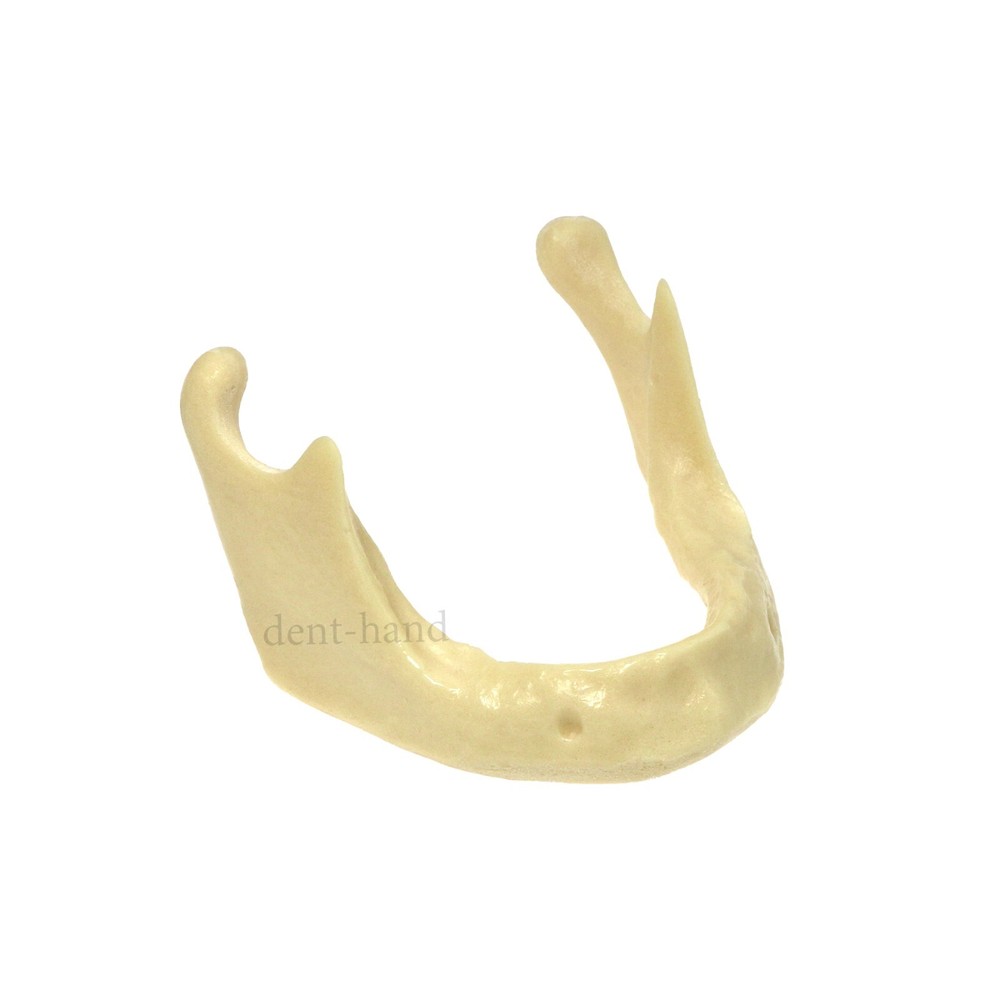 M2022 Dental Drilling Practice Model-Jaw For Implant Insertion Basic Practice