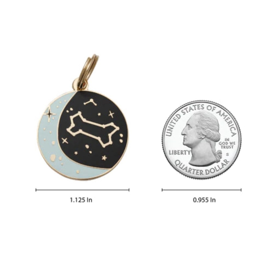 Two Tails Pet Company “Zodiac” Personalized Dog ID Tag,