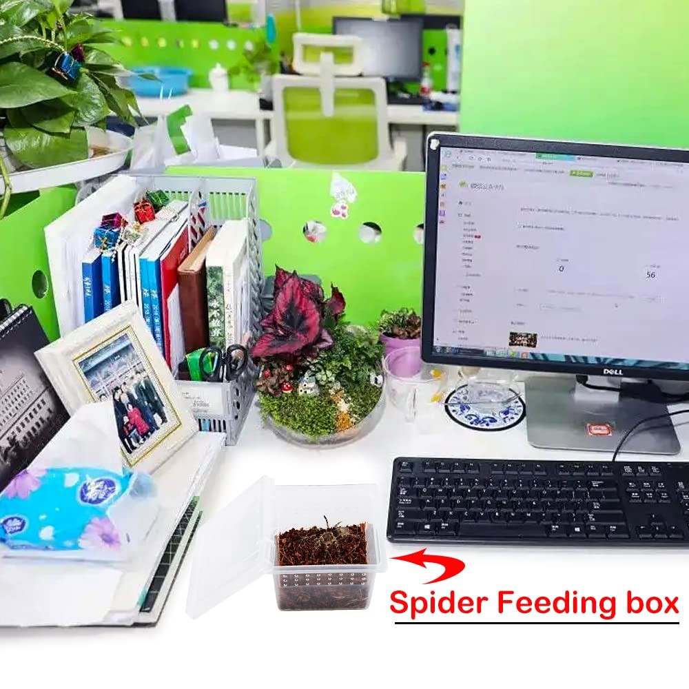 20 Pcs Spider Terrariums Breeding Box Hatching Container Acrylic Feeding Box ...