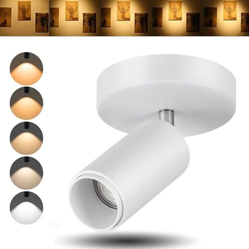5CCT LED Ceiling Spotlight 12W Dimmable Ceiling Light White- 12 Watts