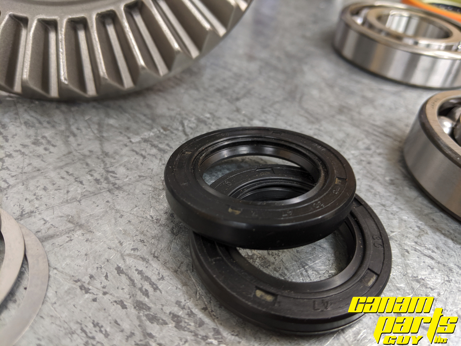 1447 Canam ATV Standard Rear Differential Rebuild Kit READ