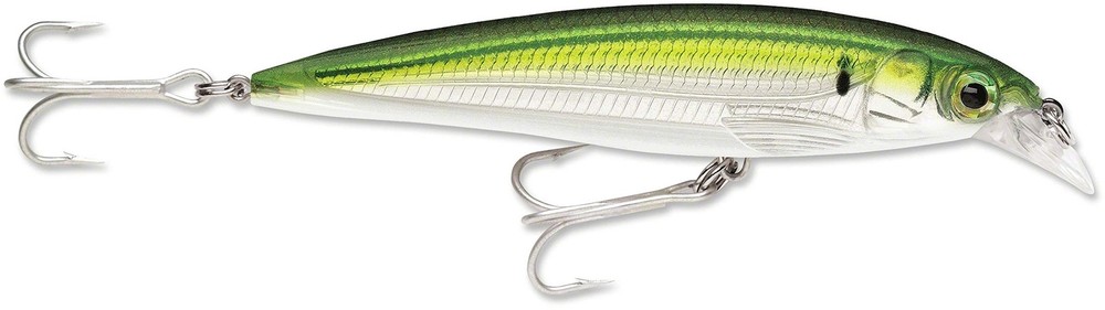 Rapala X-Rap Saltwater 10 Pilchard One Size, Multi