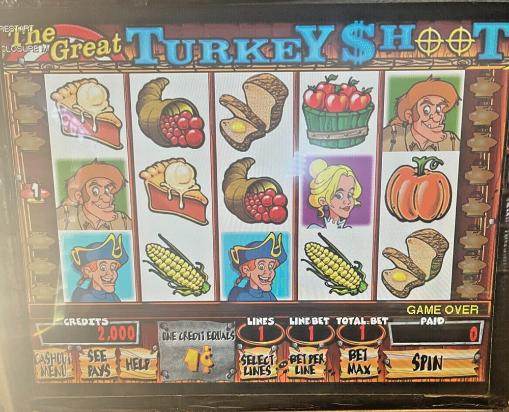 IGT I-GAME THE GREAT TURKEY SHOOT Software