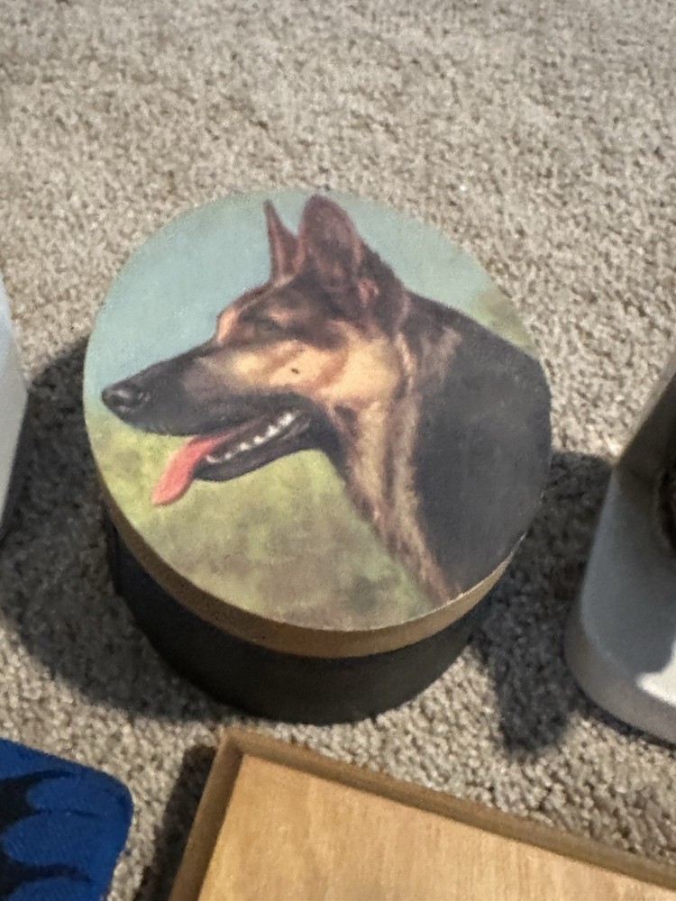 German Shepherds Lot