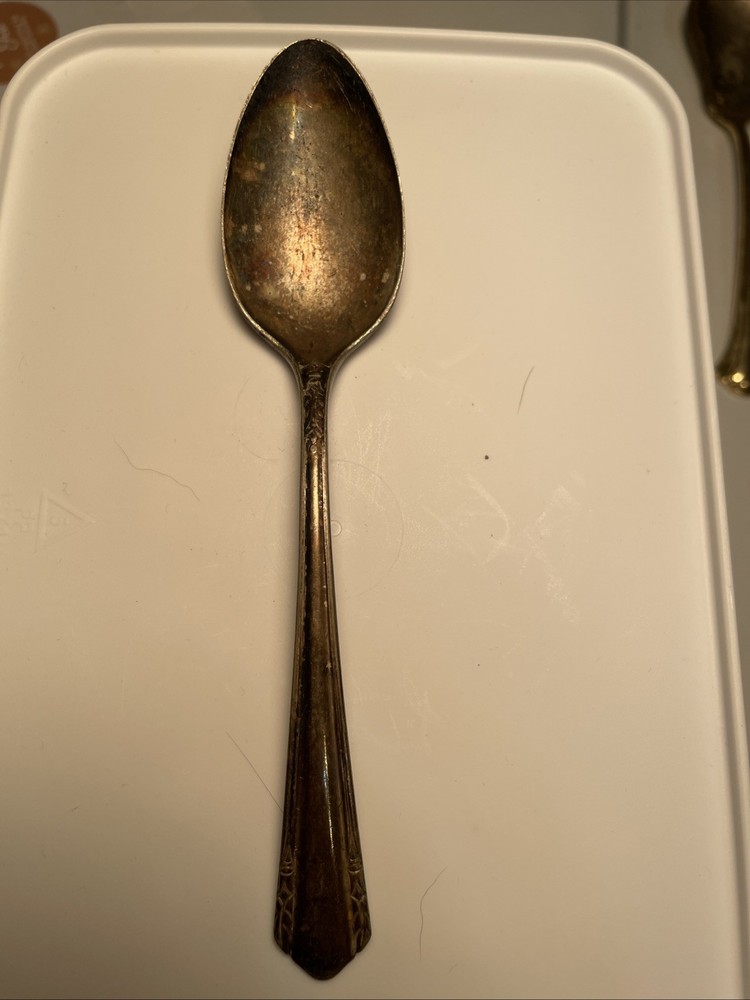 WM A. Rogers A1 Plus Oneida LTD. Malibu Silver Plate  7”L Spoon