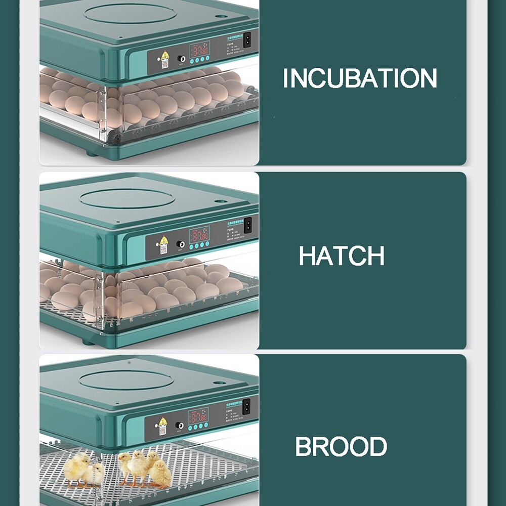 ✅ Eggs Incubator for Hatching Full Automatic Turning Machine Duck Chicken Quail