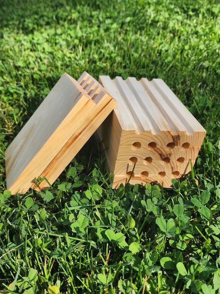 Mason Bee Pollinator House