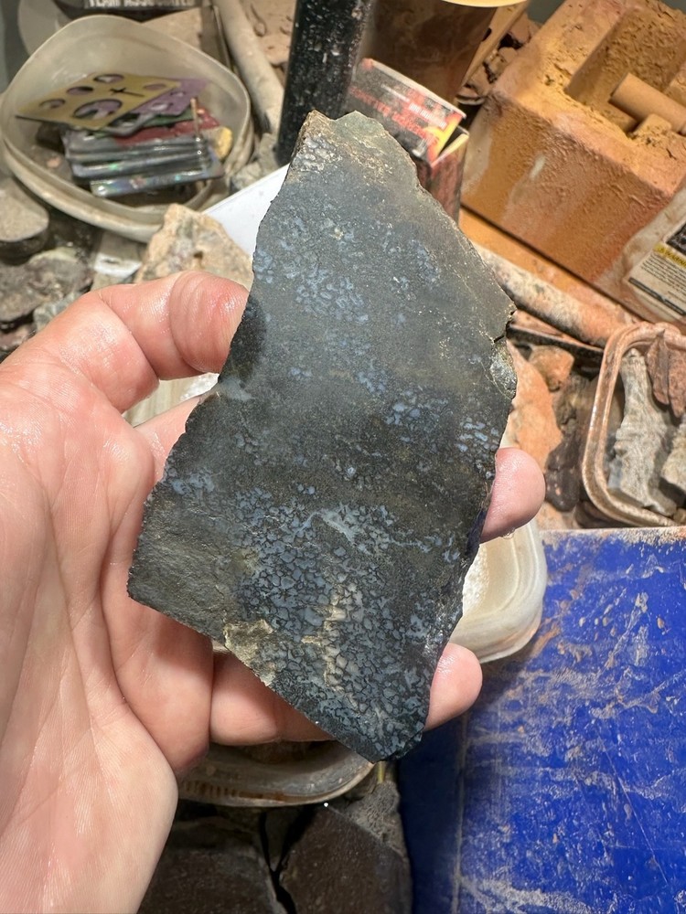 Dinosaur bone rough slab.