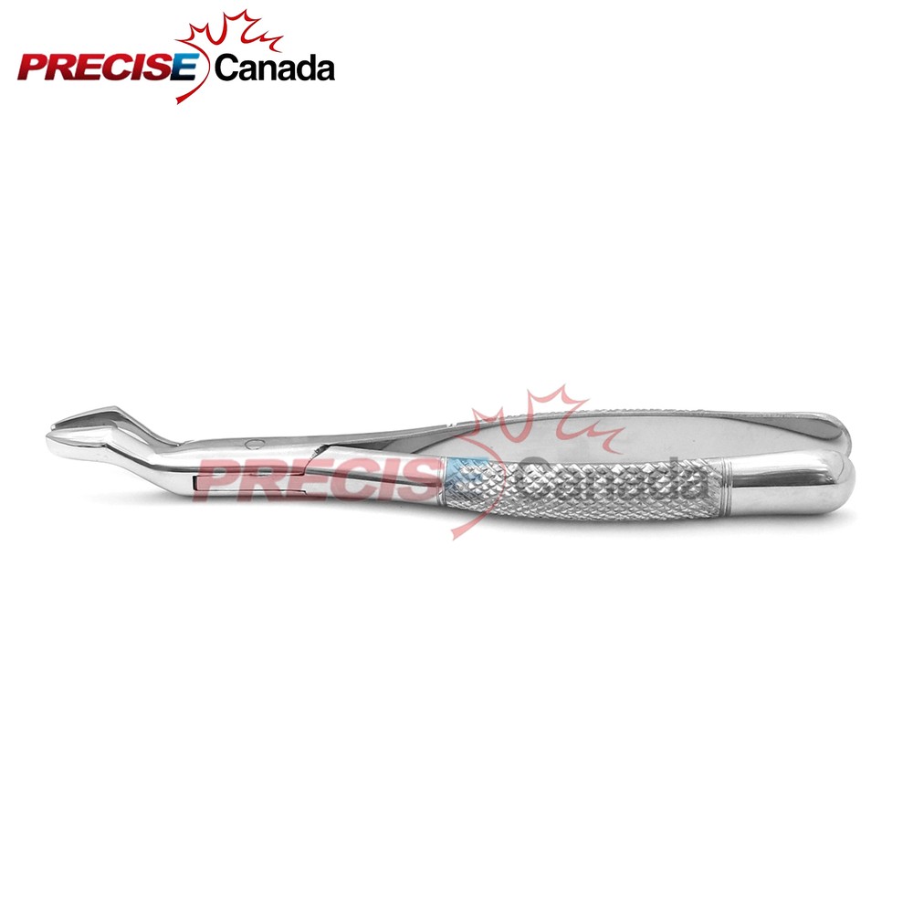Extracting Forceps # 210 Dental Surgical Instruments Extraction Forceps