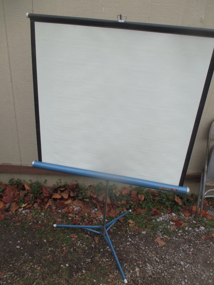 projector screen pull down da lite flyer