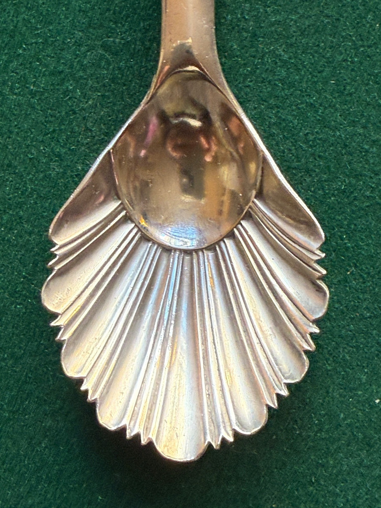Antique Solid Silver Caddy Scallop Shell Spoon Sheffield Thomas Bradbury & Sons