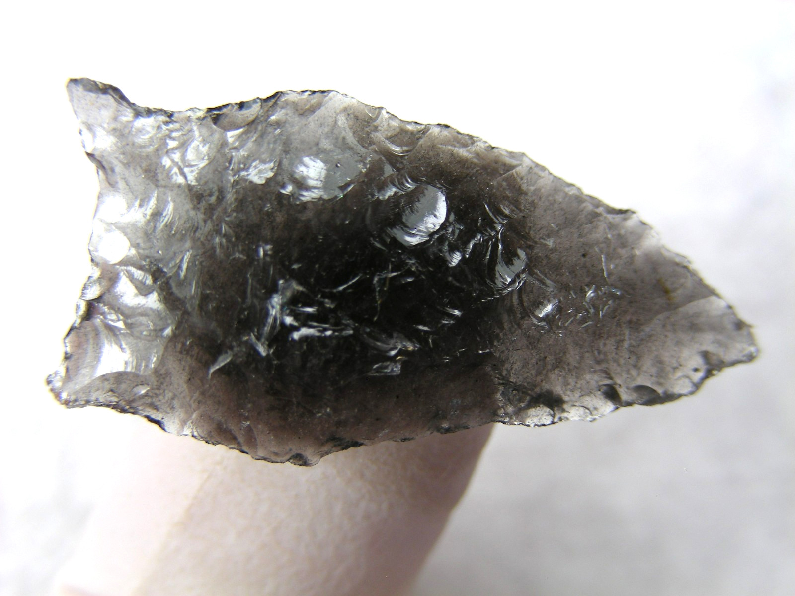 BUCHANAN EARED 1-1/4" NEVADA Authentic Indian Relics