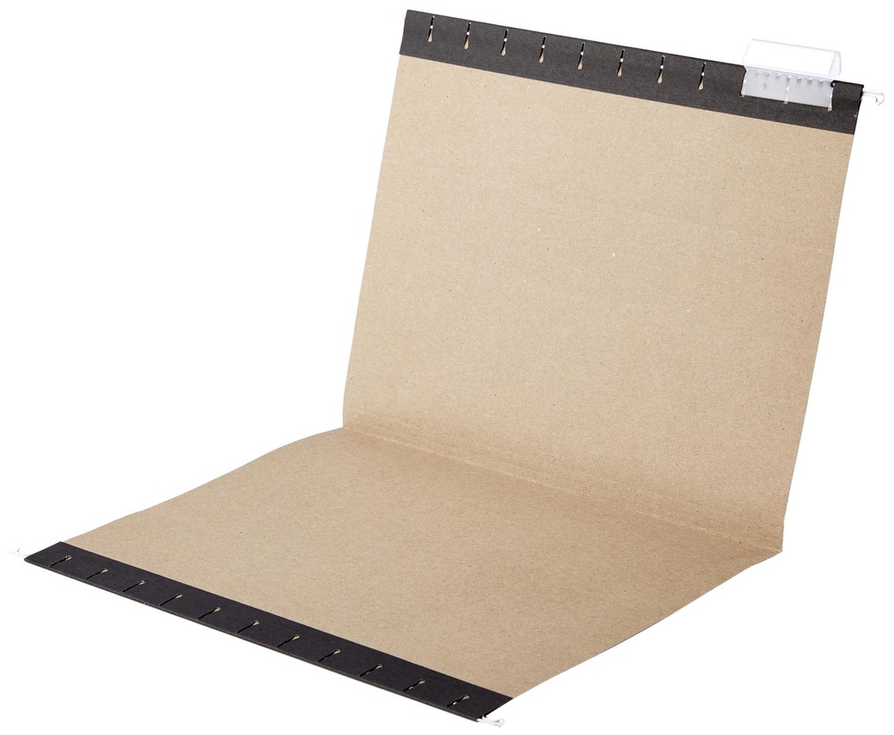 Amazon Basics Hanging File Folders with Adjustable Tabs for Letter, Black