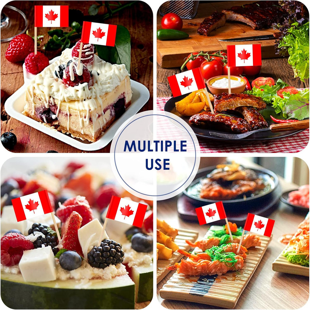 Different Countries Toothpick Flag, 100 Pcs Mini Flags on Sticks for 2026 World