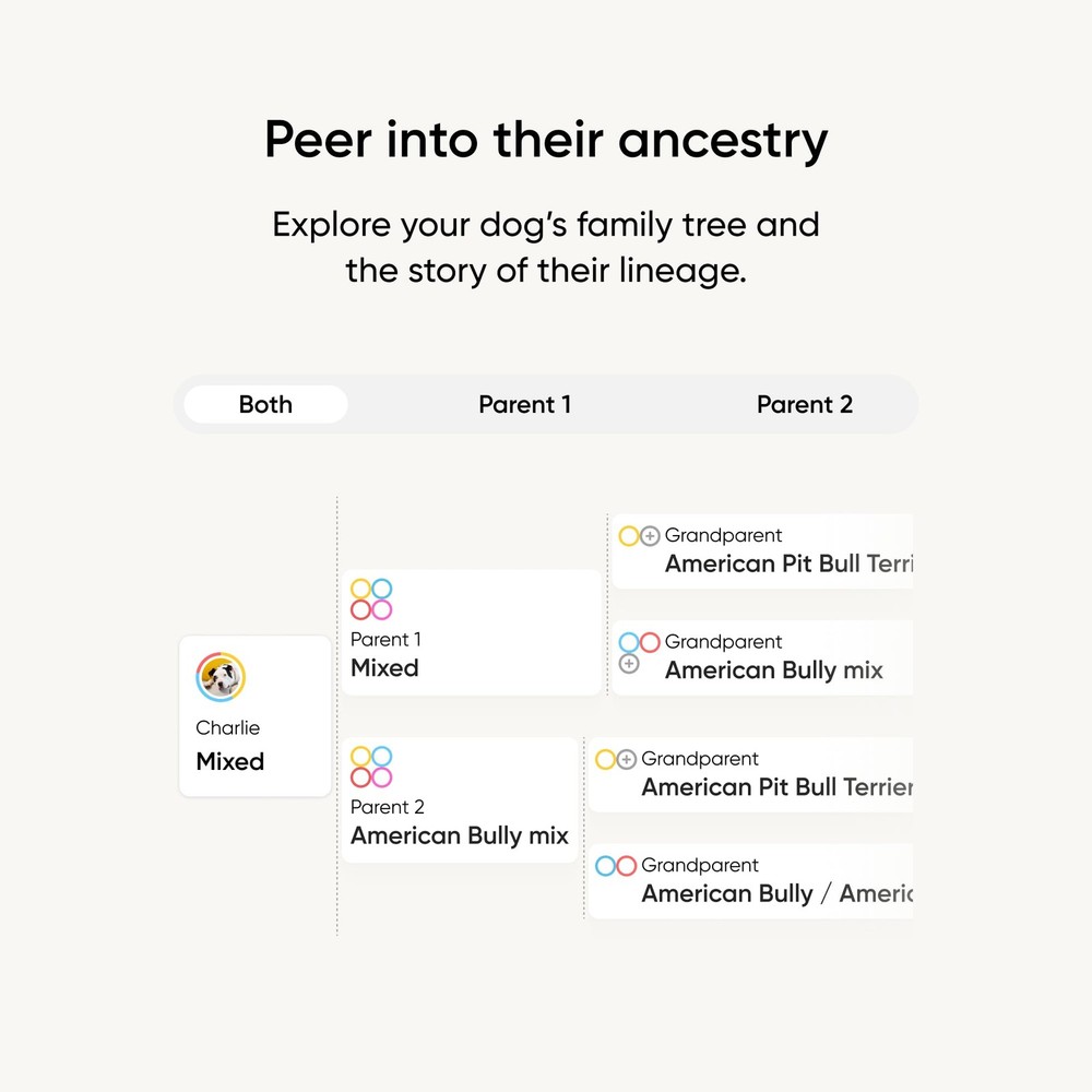 Breed Identification Kit - Most Accurate Dog DNA Testing Kit - 99% Breed Ance...