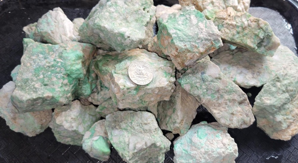 Hard Lucin Variscite Rough, Edison Bird Mine - 1 Pound