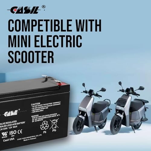 Replacement Batteries for Scooter 2 Pack