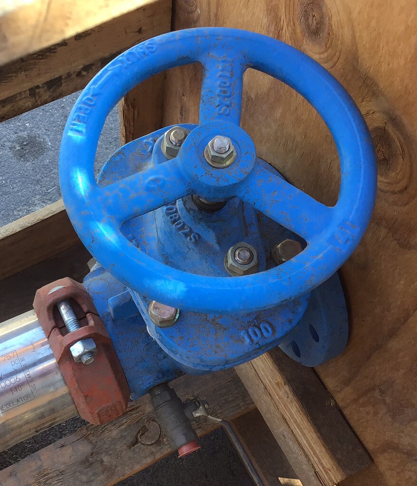 Watts Double Check Valve Assembly 757-DNRS 4 Backflow Preventer