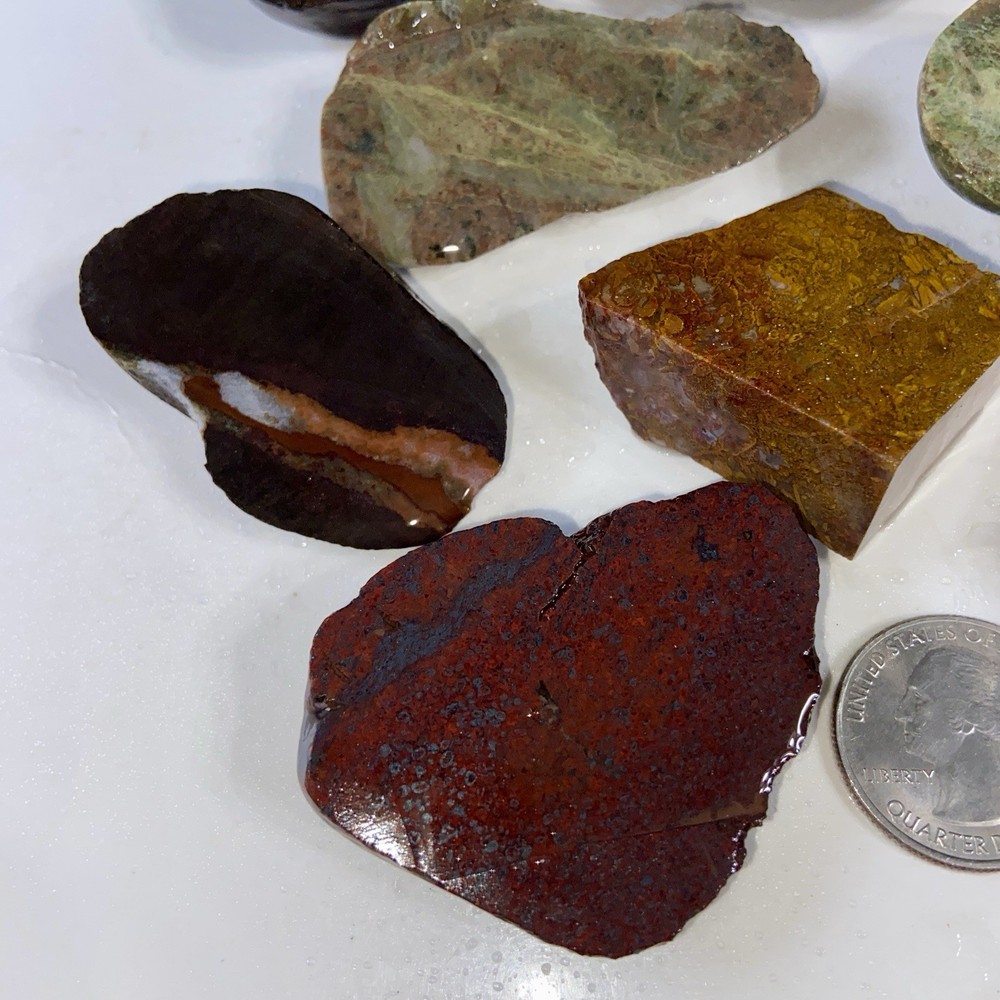 2 Pound 4 Oz Lapidary Rough Lot