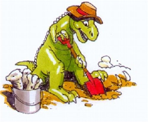 Authentic Plaster Jacket Dinosaur Bone Dig #4000