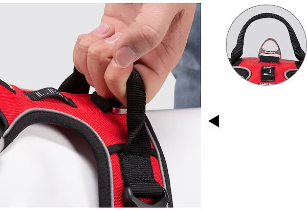 Chai's Choice Premium Quick Release Reflective Front Clip Dog Harness - Small