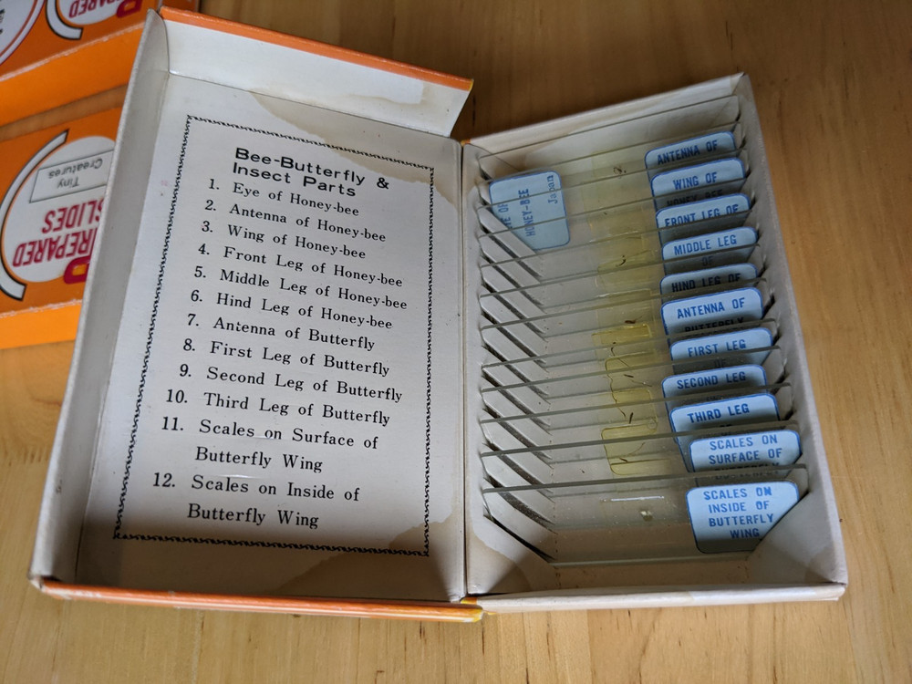 3 Sets Sears Prepared Microscope Slides - Insect Parts, Tiny Creatures, Sea Life