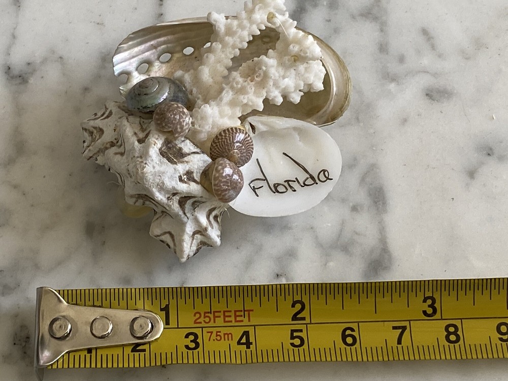 Florida Beach magnet coral shells seashell Sea Shell