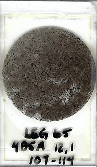Thin-section Mount from DSDP Hole 485A Petrographic Microscope Slide 485A-12-1