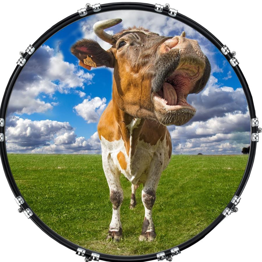 20" Custom Bass Kick Drum Front Head Graphic Graphical Moo