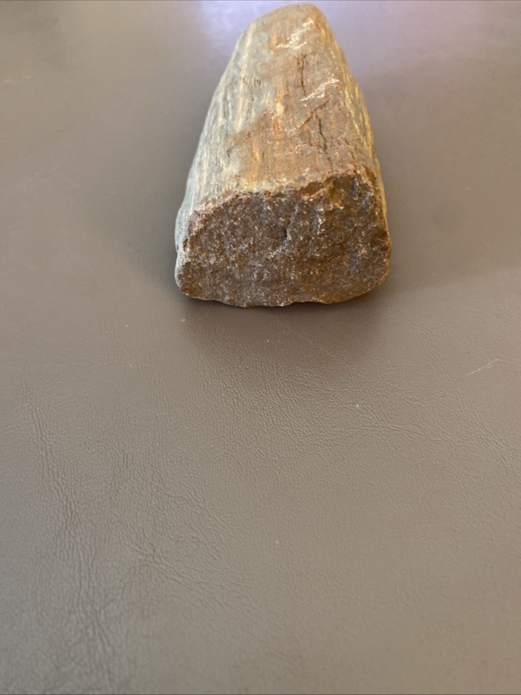 Petrified Wood