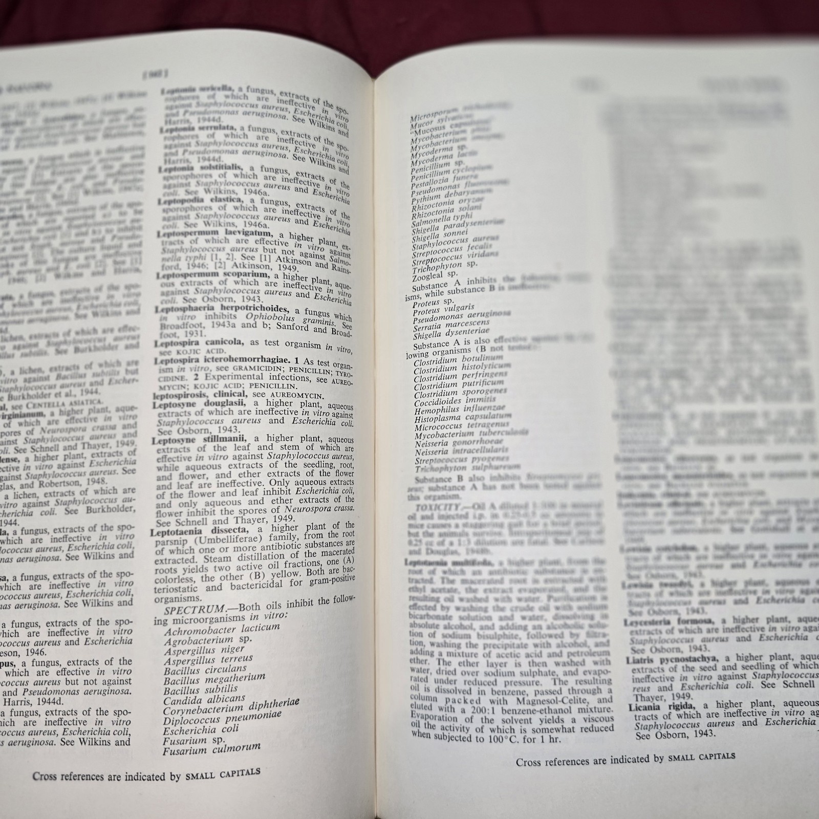 RARE Medical Book 1951 DICTIONARY OF ANTIBIOSIS-Comprehensive