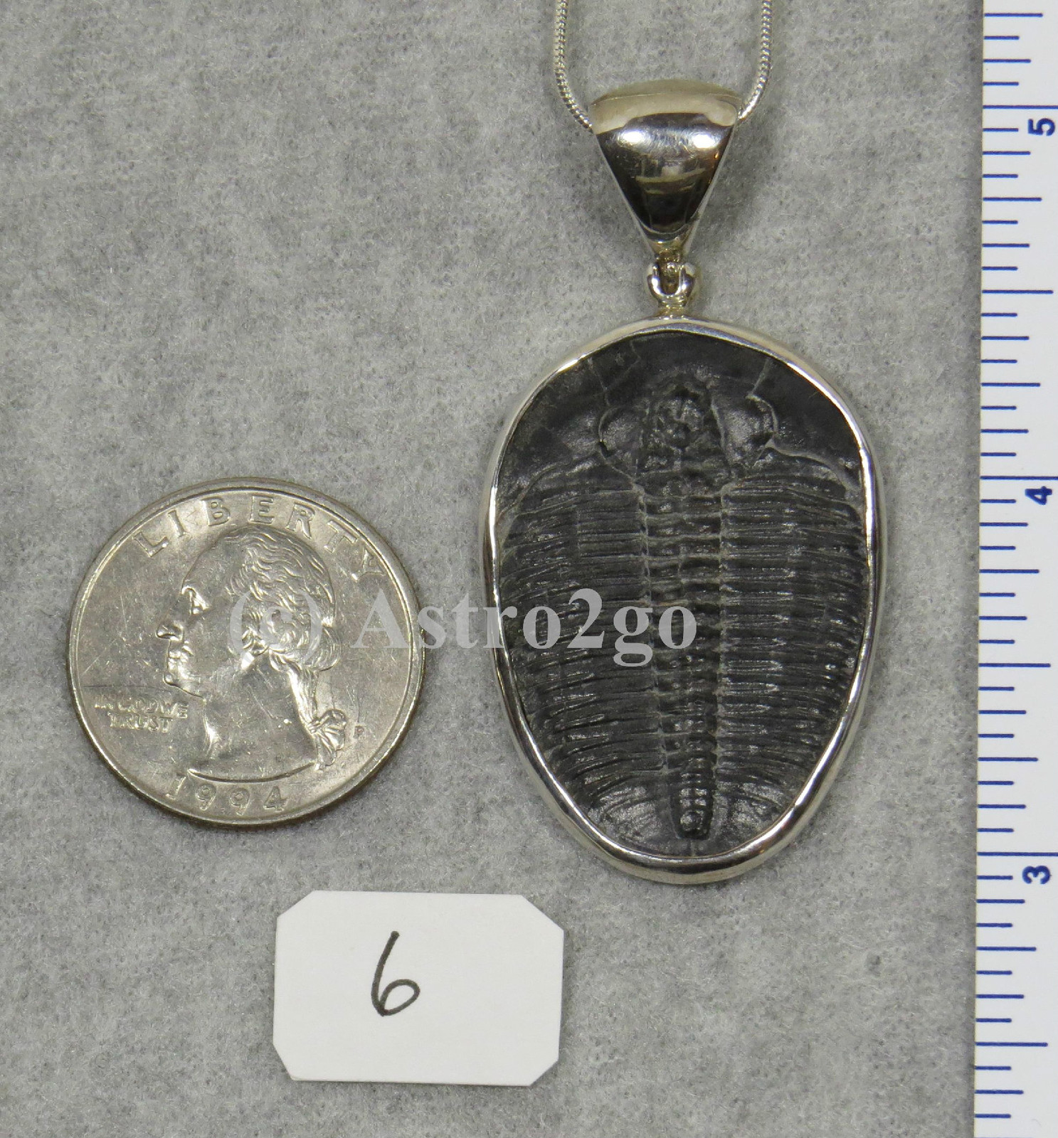 Elrathia Kingii TRILOBITE PENDANT $109 Sterling Silver Jewelry STARBORN CREATION