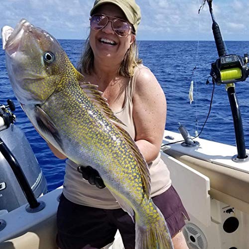 Rig Bundle - 3 Rigs With Lights and Weights