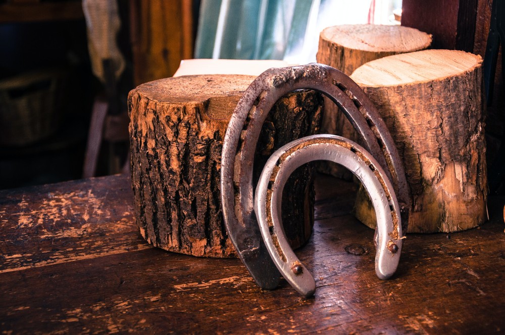 Authentic Worn Horseshoe in Original Color