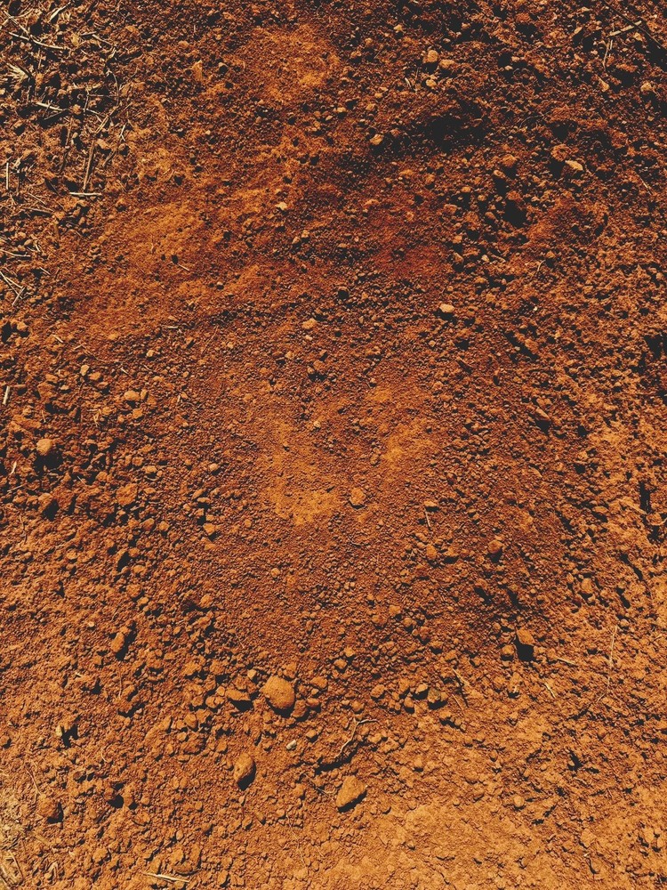 RED GEORGIA CLAY / DIRT / SOIL 2 LBS
