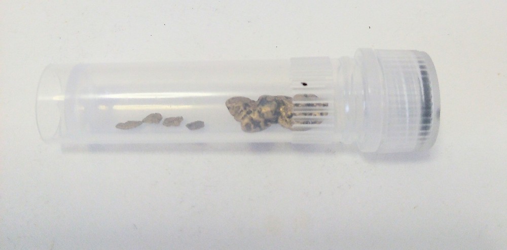 1.3 Grams Alaska Gold