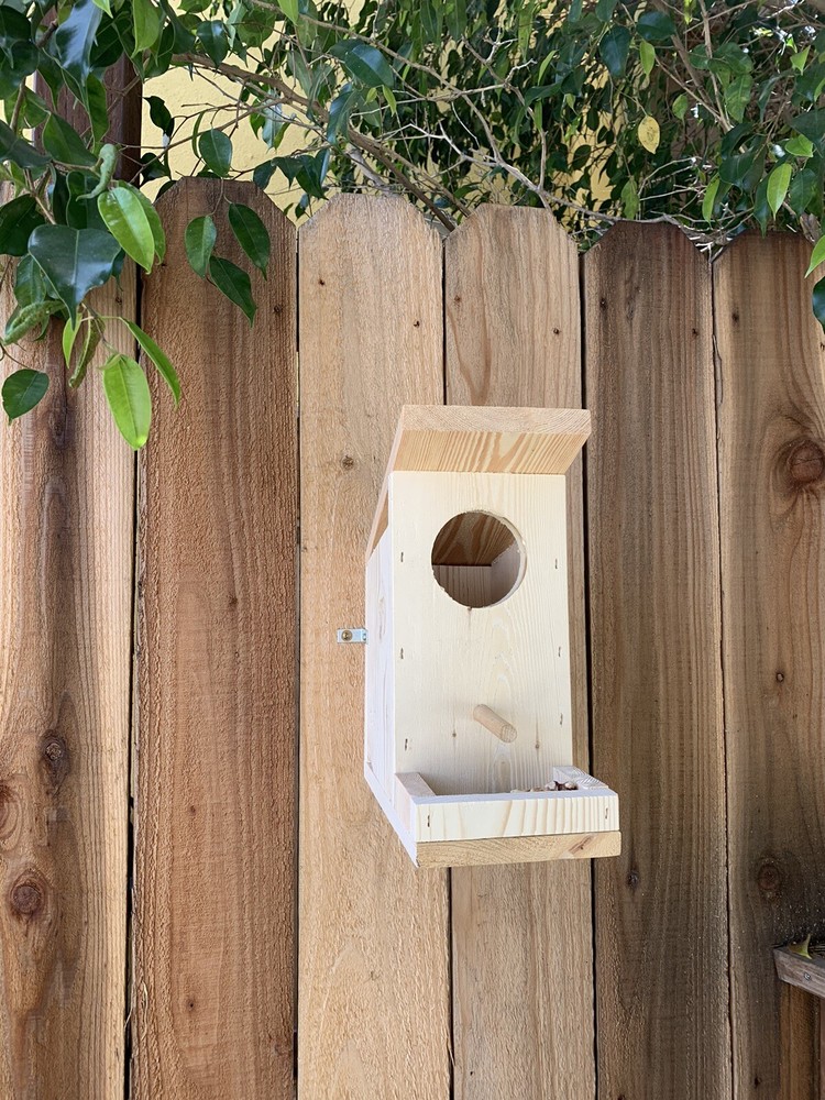 squirrel house feeder