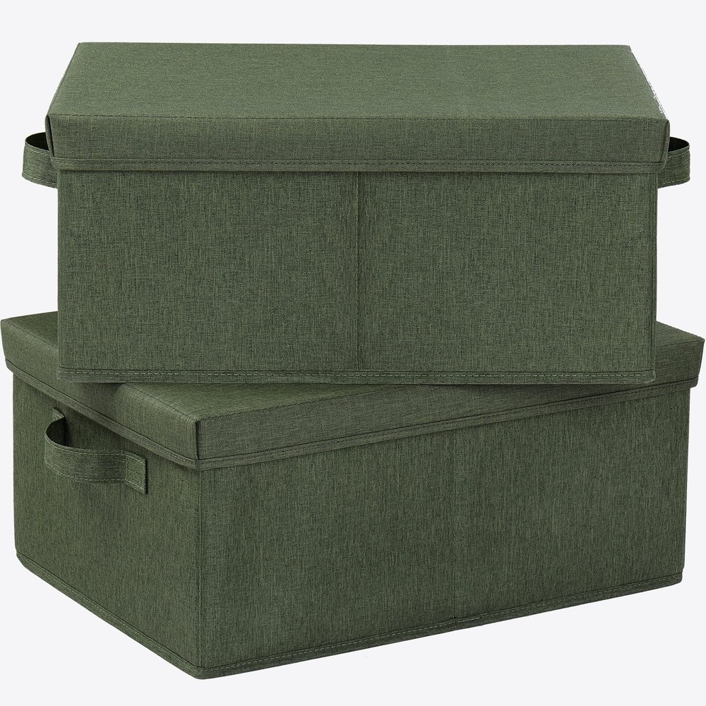 HOONEX 2-Pack Storage Bins with Lids, Fabric Organizing Boxes, 2 Carrying Handle