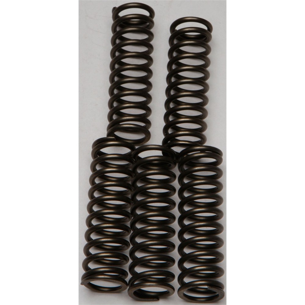 EBC Brakes Clutch Springs CSK169