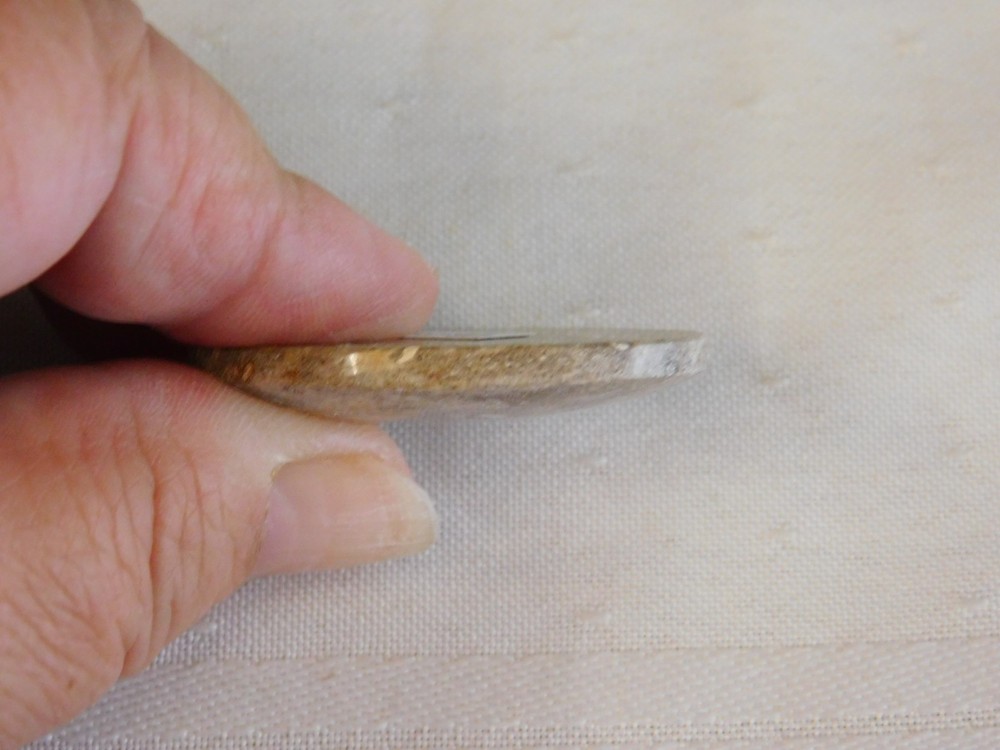 Fossil Palm Wood Cabochon