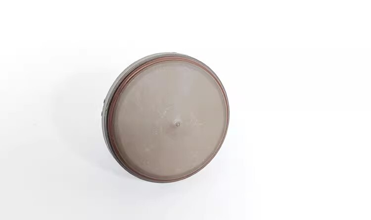 BUSCH vacuum pump check valve+filter screen RA 25-100 accessory part
