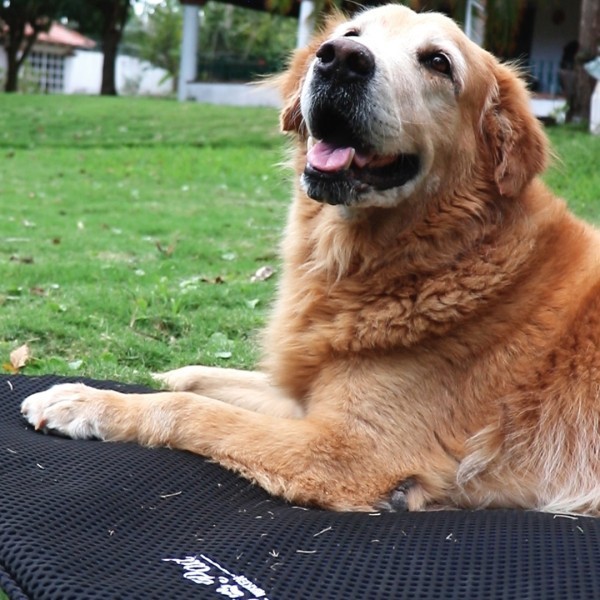 Nikken Kenko Pet Pad 23" x 29" - Magnetic Therapy Pet Bed Cushion ULTRA-RARE 🔥