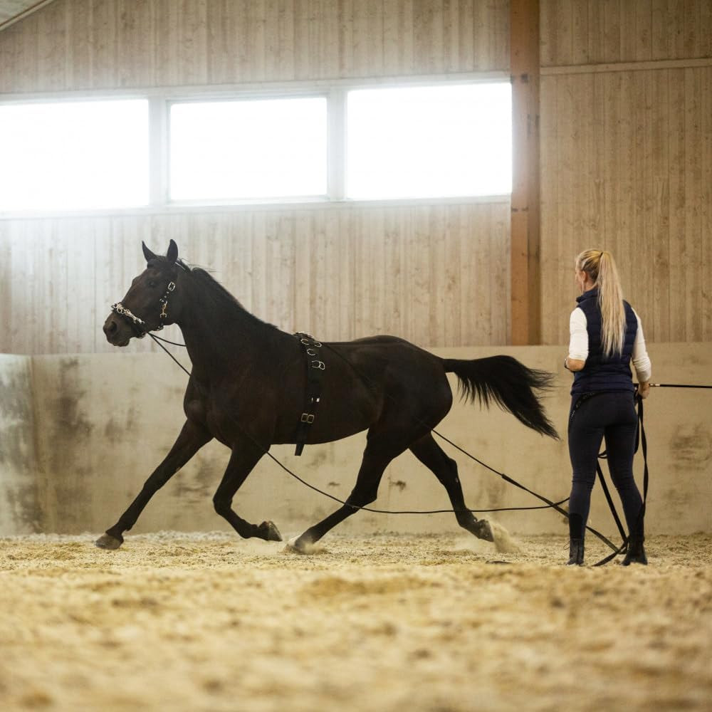 Lunging Surcingle for Horses | Nylon Roller for Training